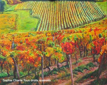vignes