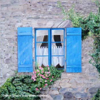volets_bleus
