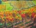 vignes