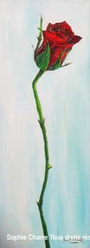 ad_rose_seule