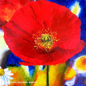 ag_poppy