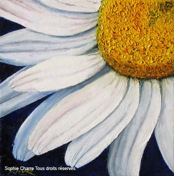ah_margueritte-coin