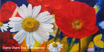 ap_marguerite-et-coquelicot-II