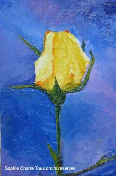 ar_rose-jaune