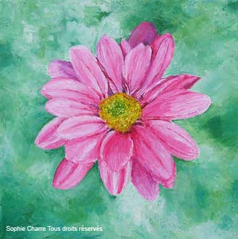 at_marguerite_rose