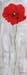 ae_un_coquelicot