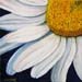 ah_margueritte-coin