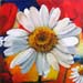 al_couleur