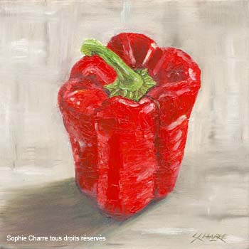 ab_poivron-rouge-fd-gris2