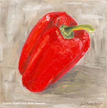 ac_poivron-rouge-fd-gris