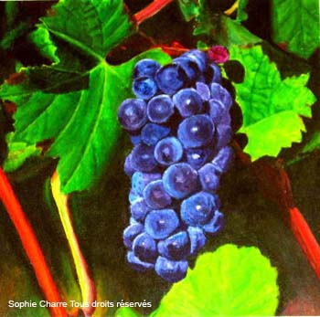 raisin-rouge