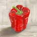 ab_poivron-rouge-fd-gris2