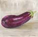 ac_aubergine-fond-gris