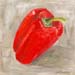 ac_poivron-rouge-fd-gris