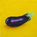 ai_aubergine